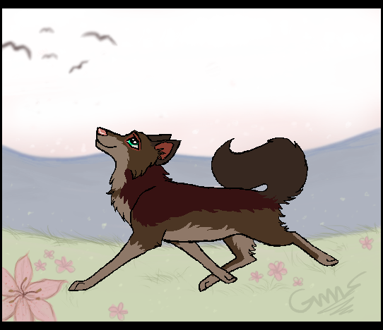 Trade with Cooliecat