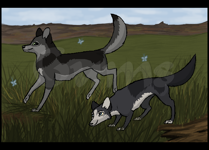 Arty Trade with xSilencex