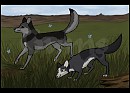 Arty Trade with xSilencex