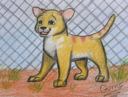 Garco as a Puppy