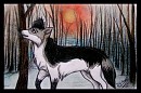 Gift for Artic Wolf