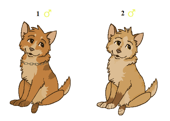 Contest Adopts
