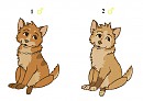 Contest Adopts