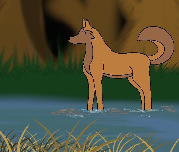 Narni in the river