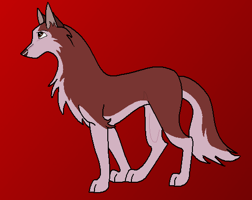 Kodi