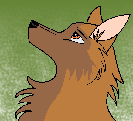 Narni's Head