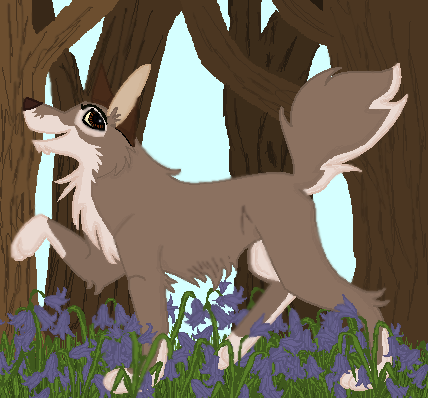 Balto in a bluebell forest