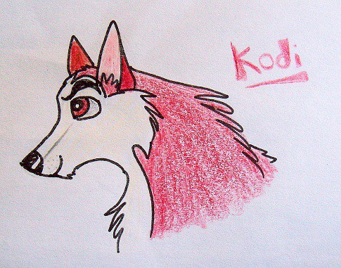 Kodi