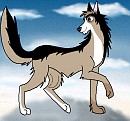 Request for Artic Wolf