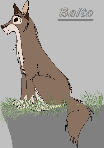 Balto 
