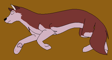 Kodi Sleeping