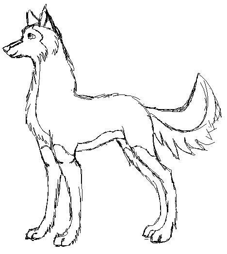 Kodi Sketch