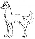 Kodi Sketch