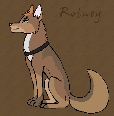 Trade with: Artic Wolf