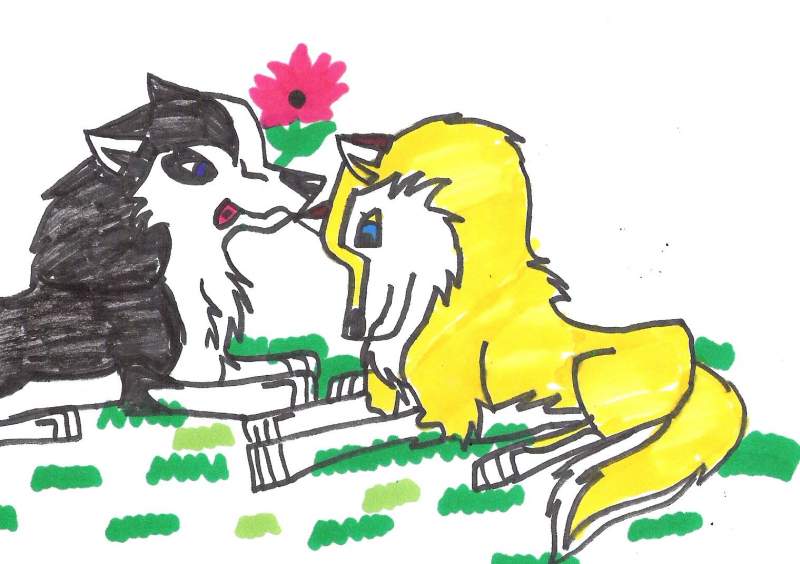aleu and steele
