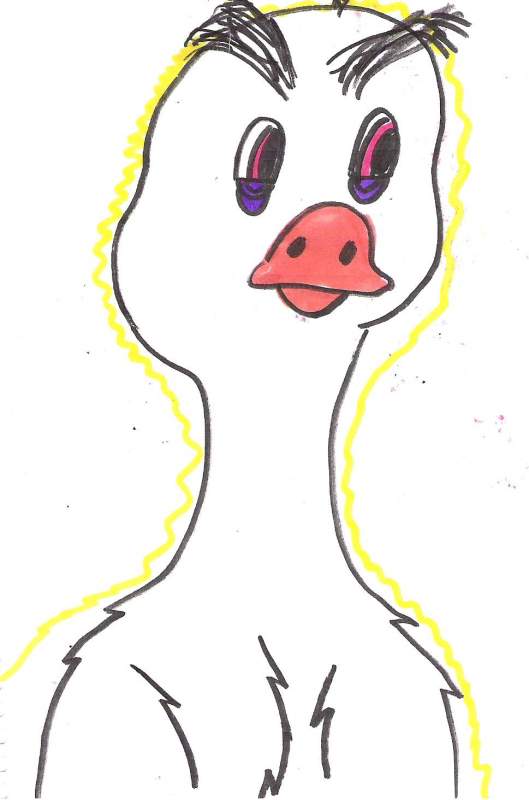 boris