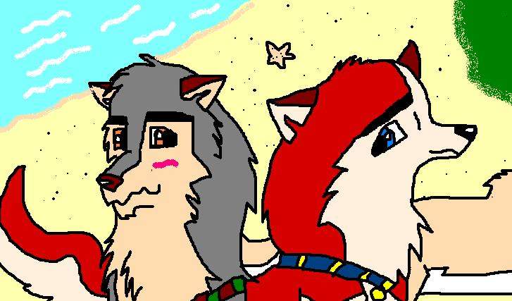 tom and saba