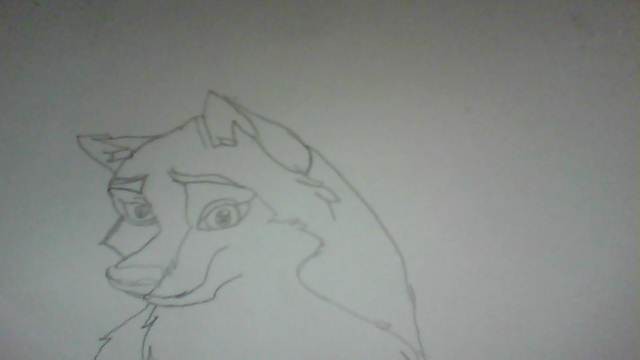 Aleu drawing
