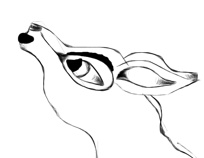 Aniu howling