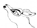 Aniu howling