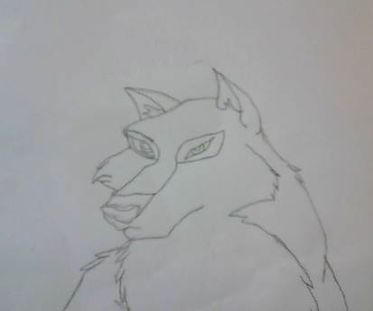 Free hand drawing of Aniu