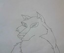 Free hand drawing of Aniu