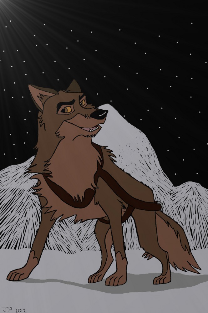 Balto in the moonlight