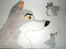 Balto