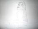 Dan - redesigned