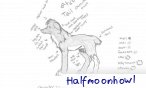 halfmoonhowl