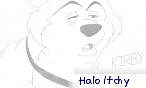 Shingo The Dingo