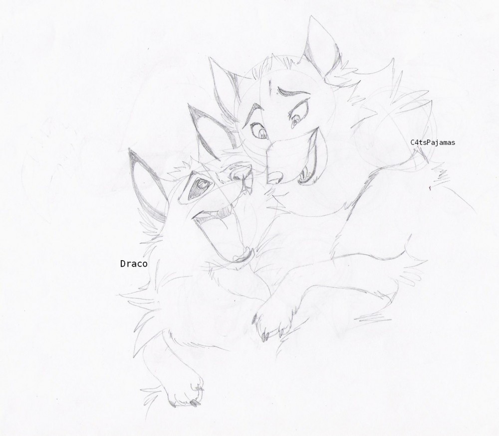 Kiona & Achack 