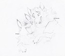 Kiona & Achack 