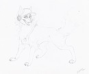 Trade with Skips: Rio