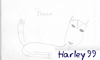 harley99