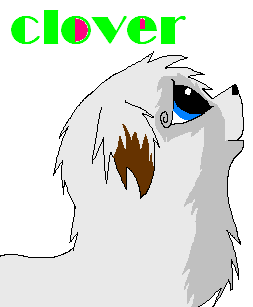 clover