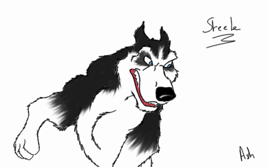 New style for Steele ! 