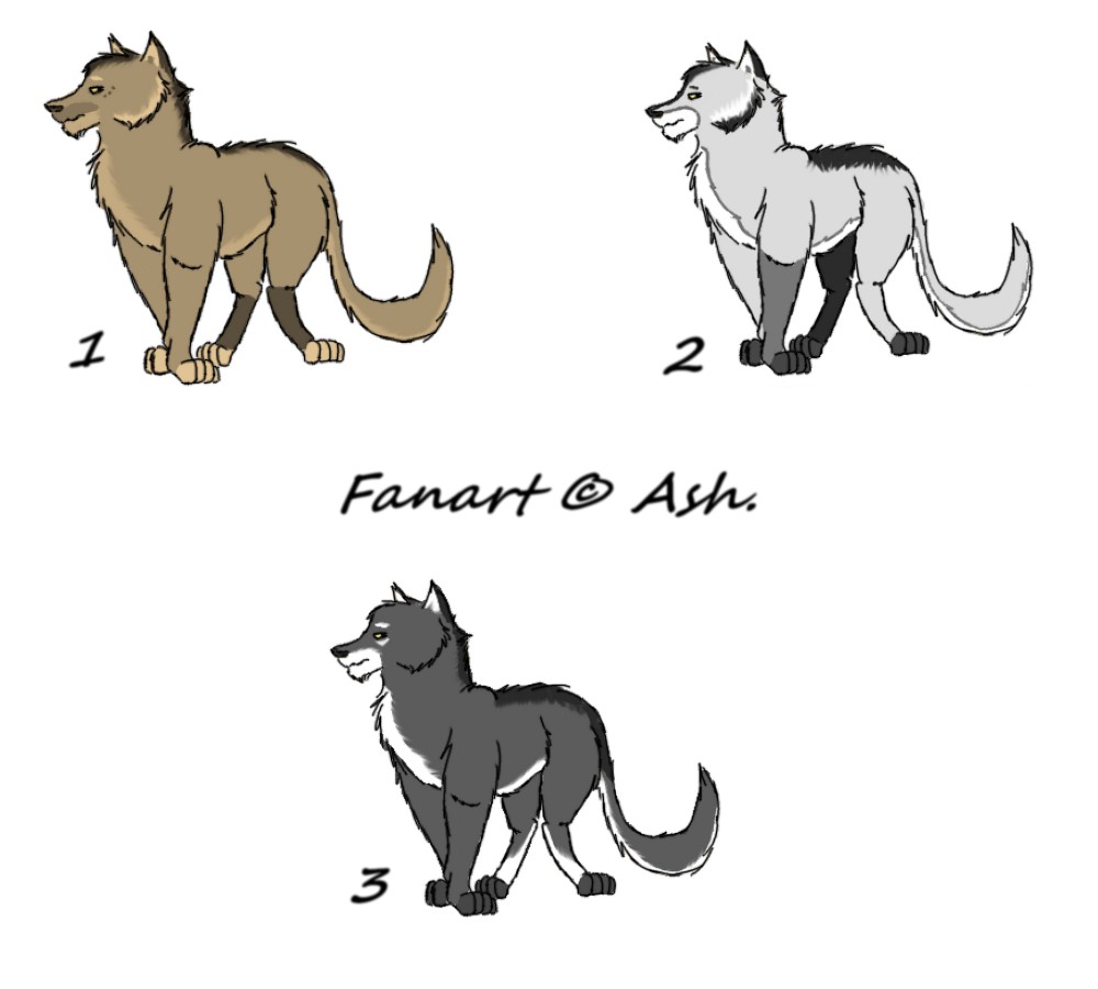 Adoptions ( 1 à 3 ) 