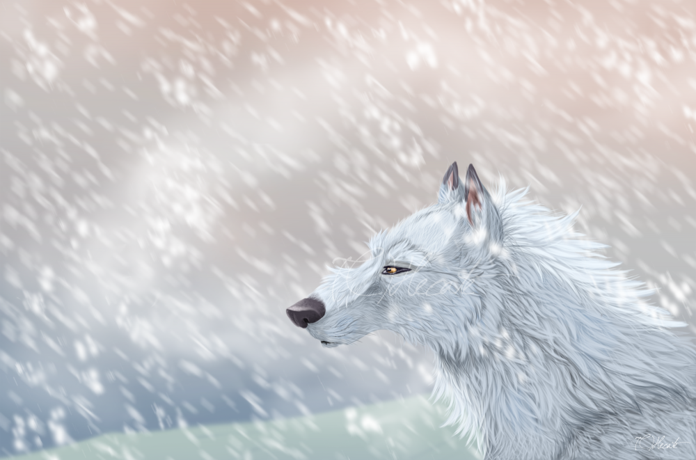 The white one