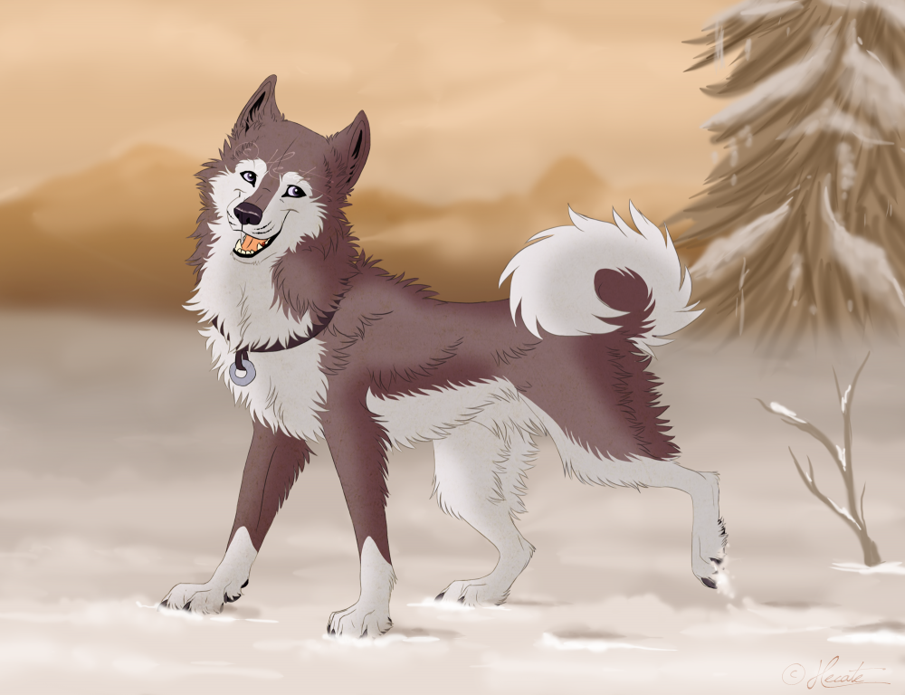 Dusty in the Snow