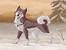 Dusty in the Snow