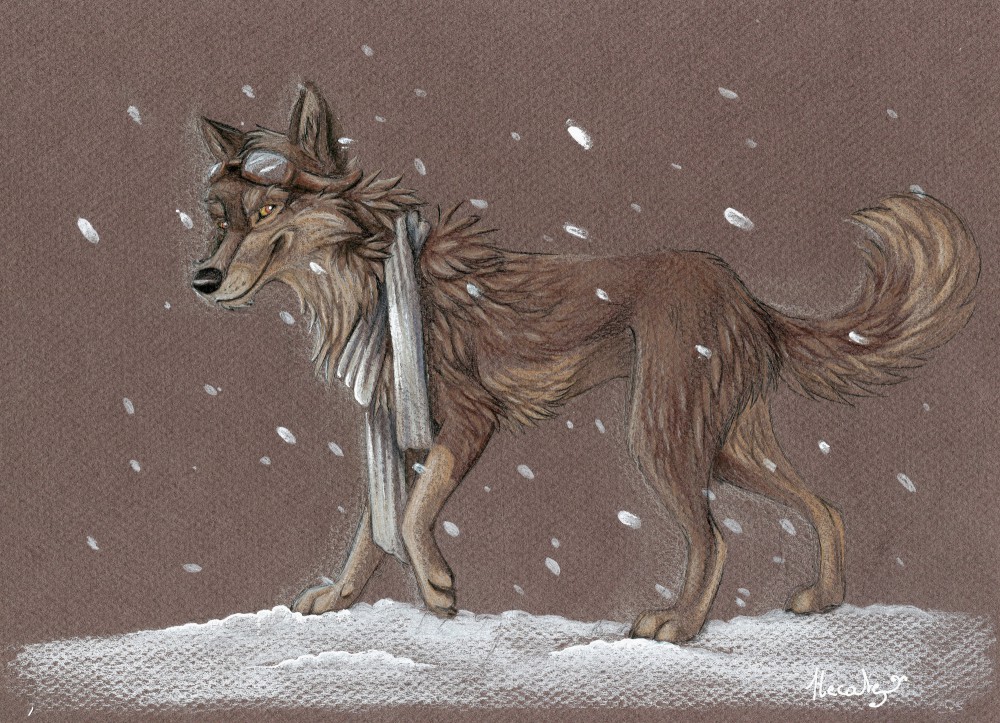 Balto the aviator