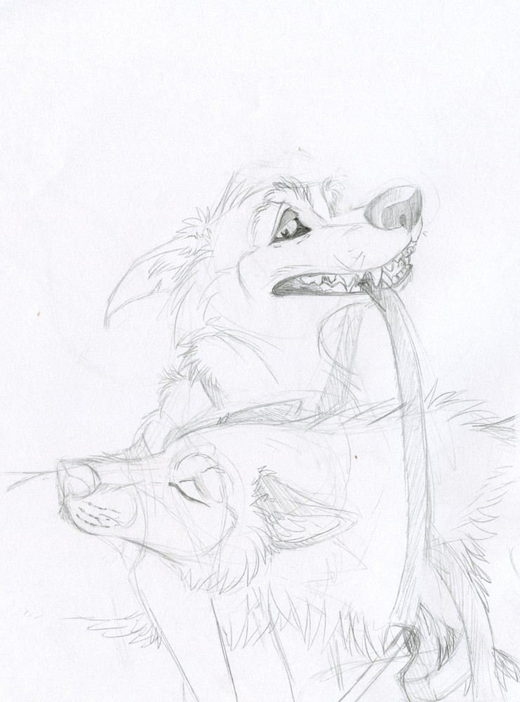 You need this, Balto.