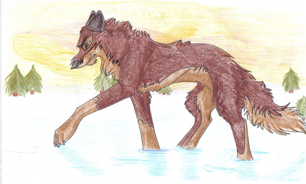 Balto dans la neige