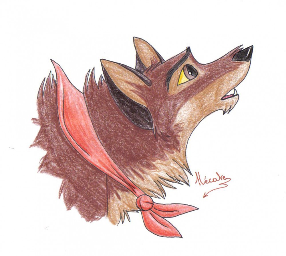 Balto crayons de couleurs