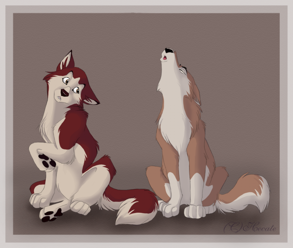 Aleu et Kodi 