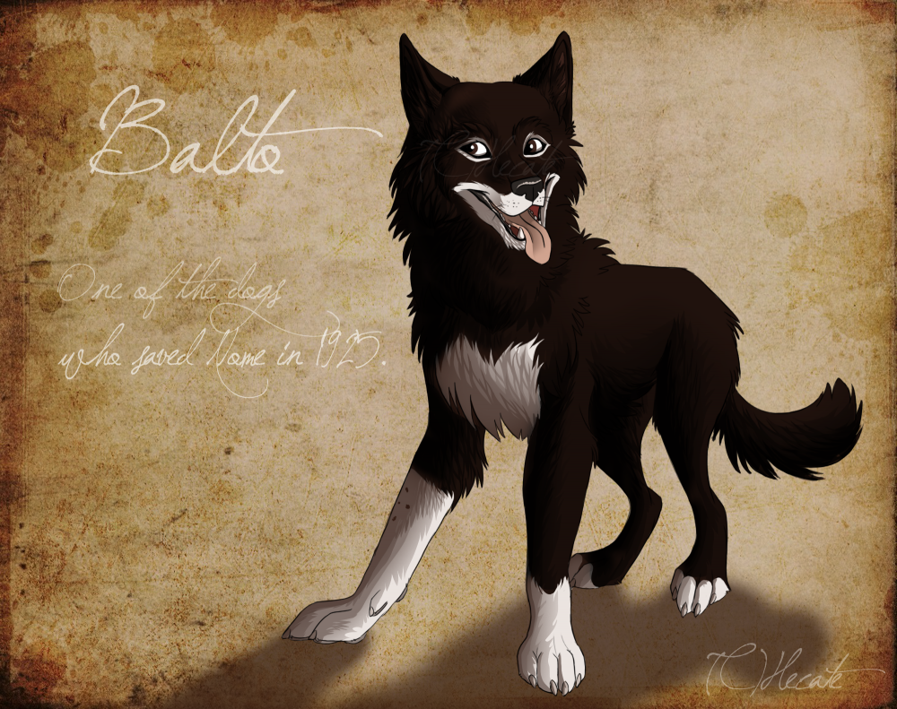 Le vrai Balto 