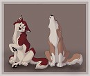 Aleu et Kodi 