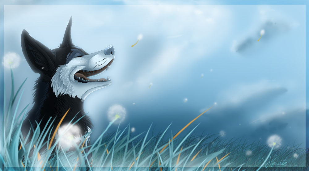 Freedom