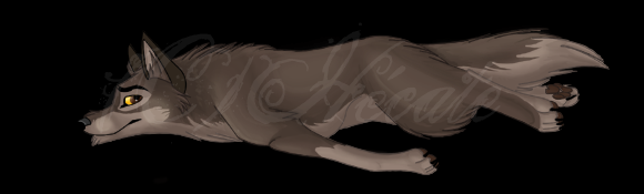 Balto signature
